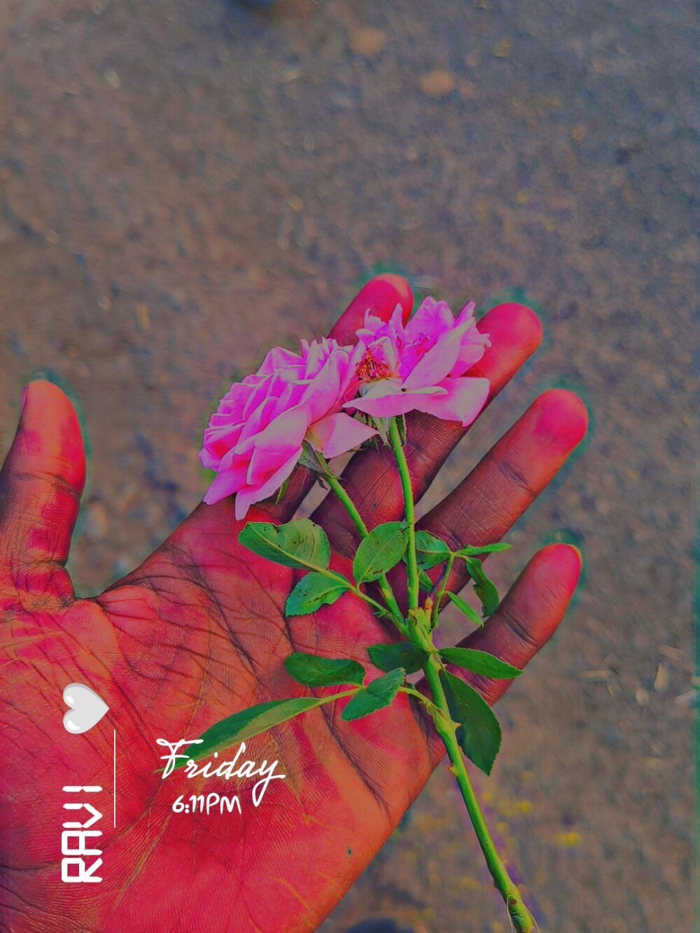 Cam boy fuckyAmravti