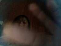 Meo_x