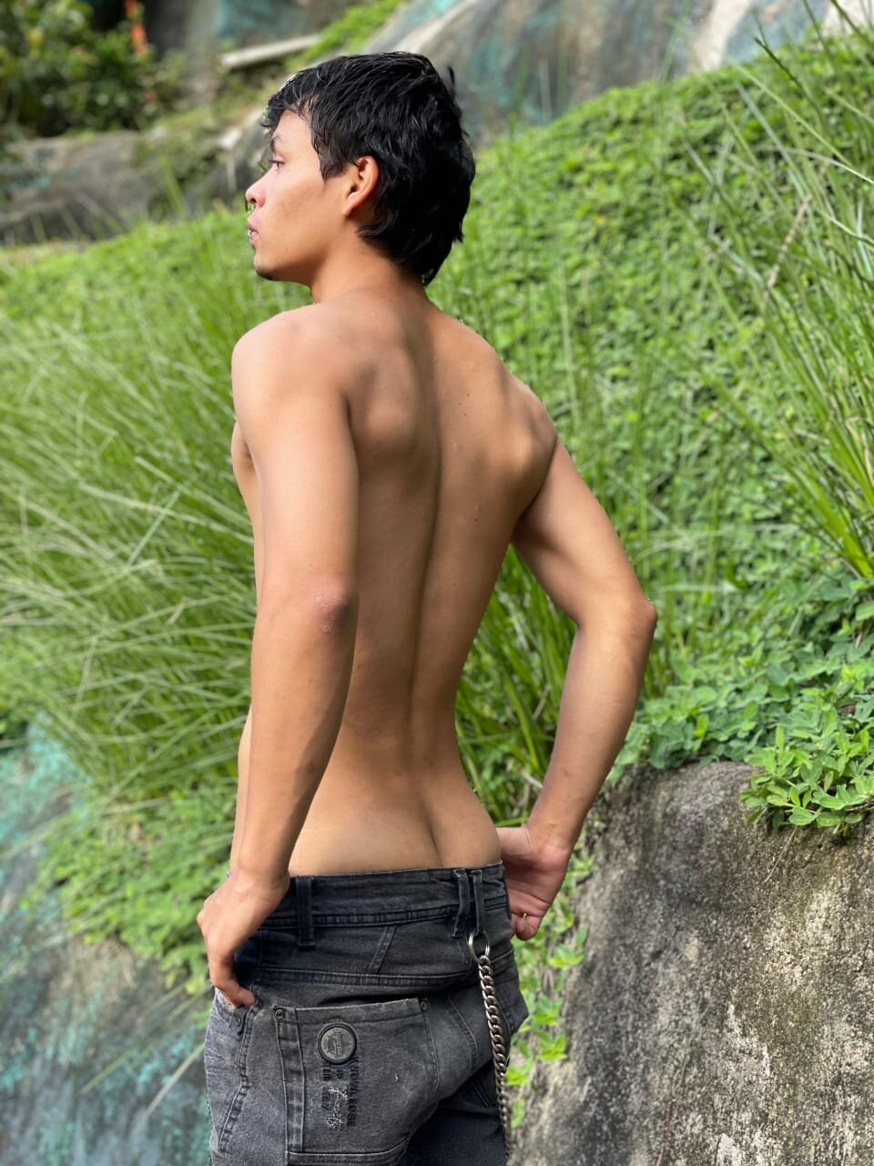 Draco_collins
