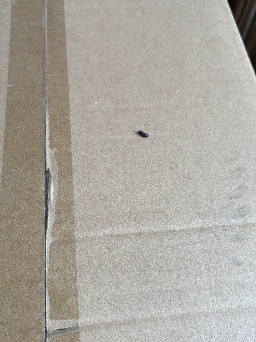 argrock30's most recent online preview