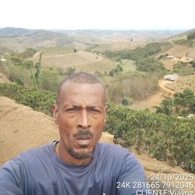 1662 Live Cam and Statistics on UnifiedCams