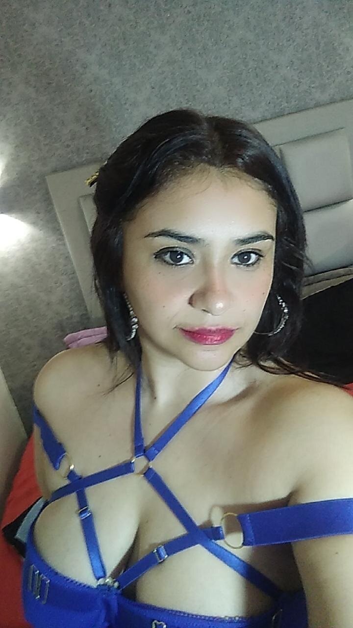Dixie_Lanex