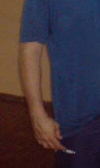 Tallarico Webcam Model Profile