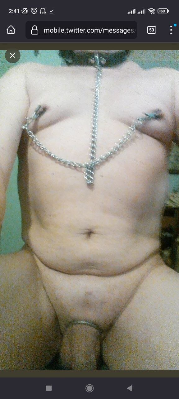 maukinkys live webcam