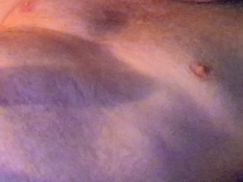 lopgeil26: офлайн-секс-чат