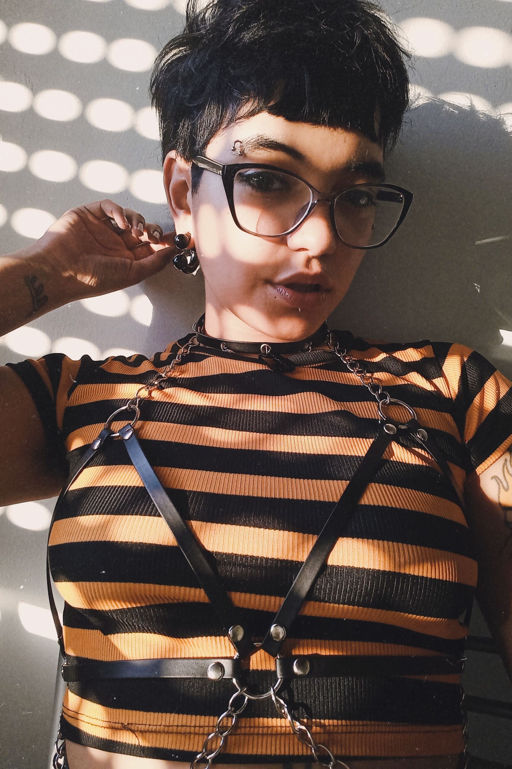 Vilma-lamia