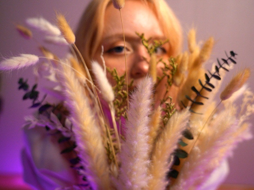 _Lavender_Fairy profile