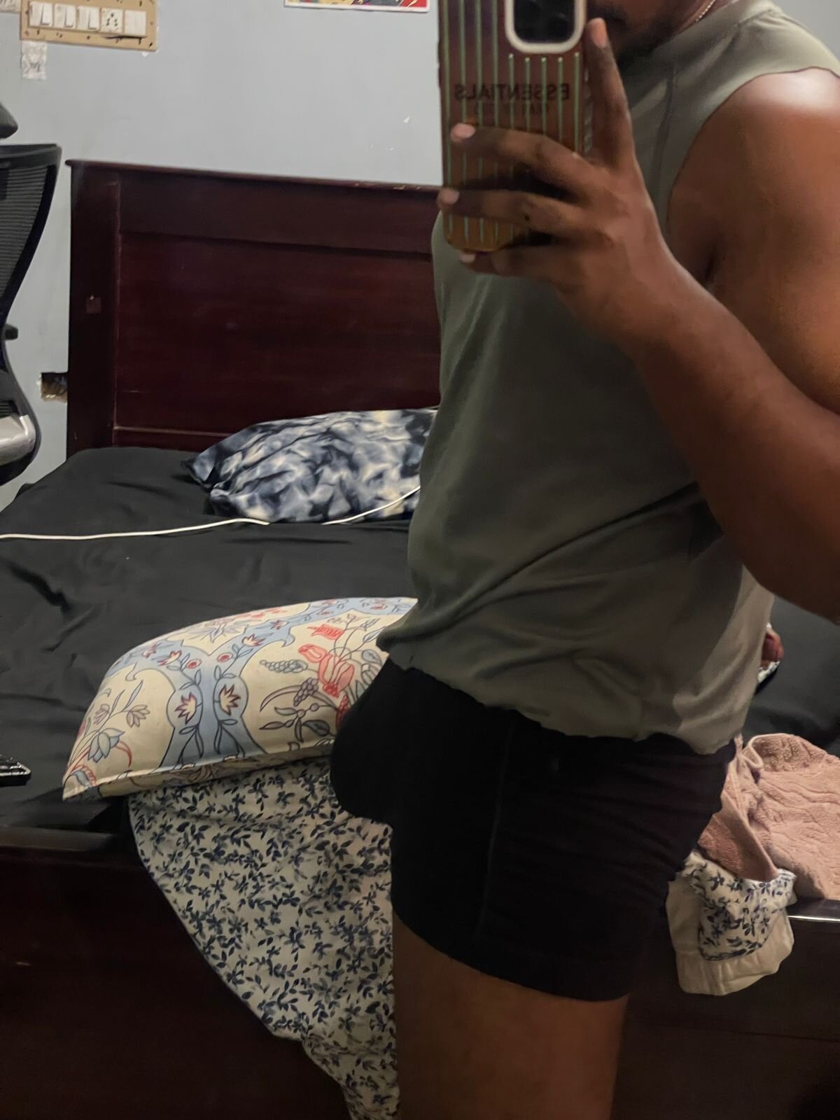 Indian-bull live webcam