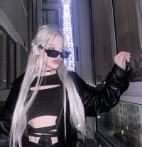 Profile