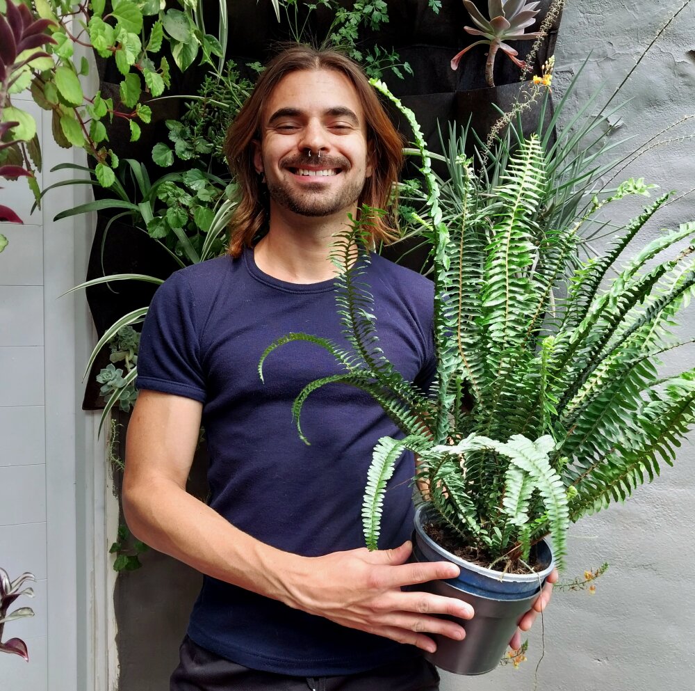 Raphaiii's Offline XXX Chat