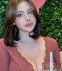 Модель Miamix2