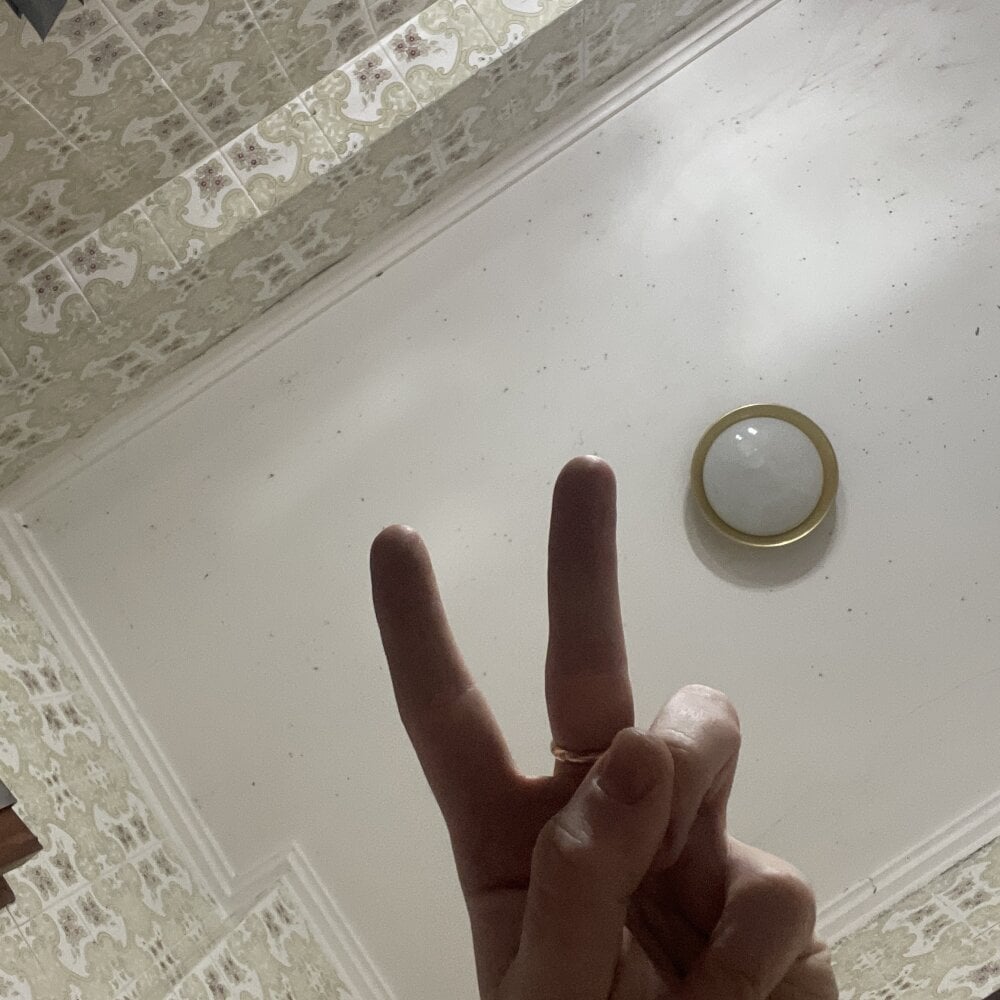 torradeira24 from stripchat