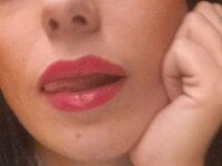 Модель Salome93