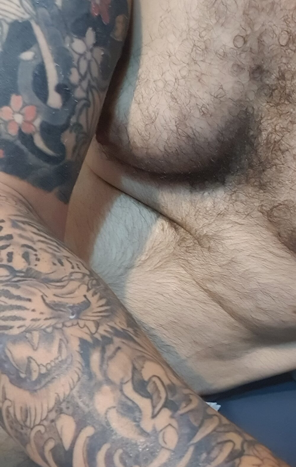 BarbudoSP35