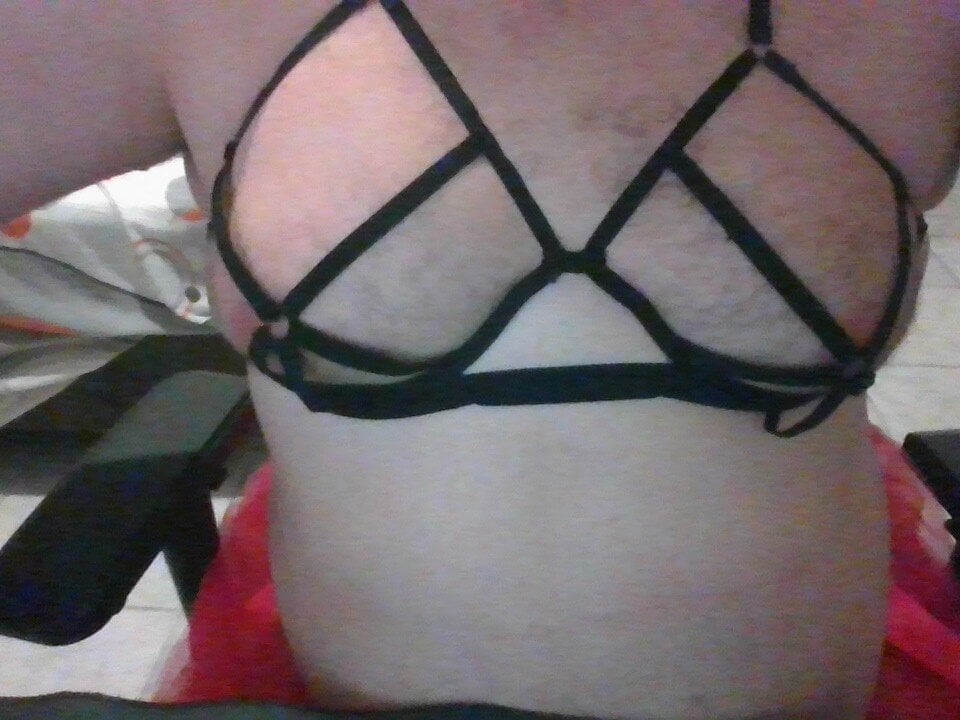 Brsecretbear profile