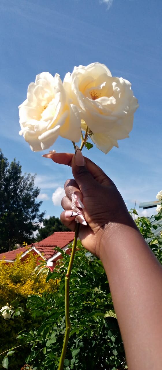 Ebonygoddess27