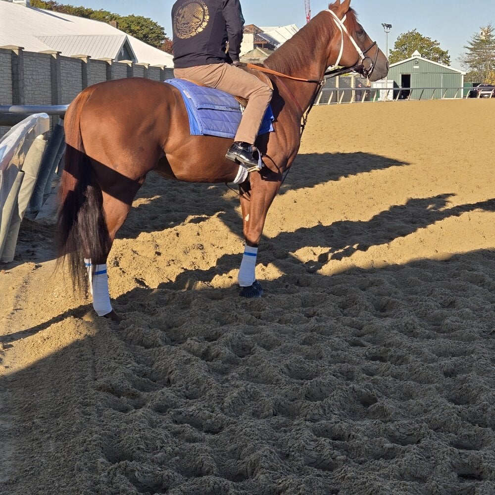 kingflip1992's Offline XXX Chat