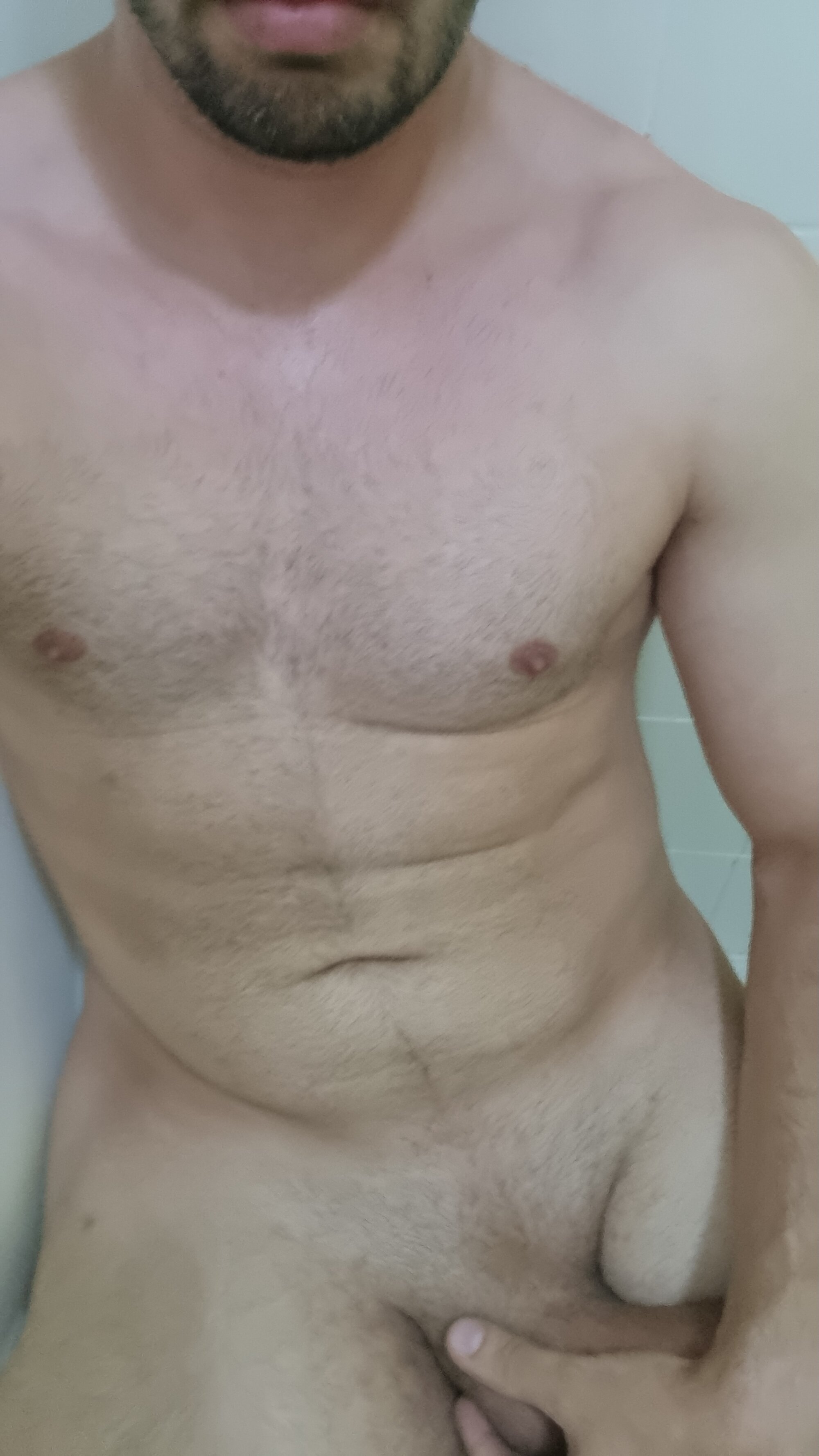 gui_discreto94