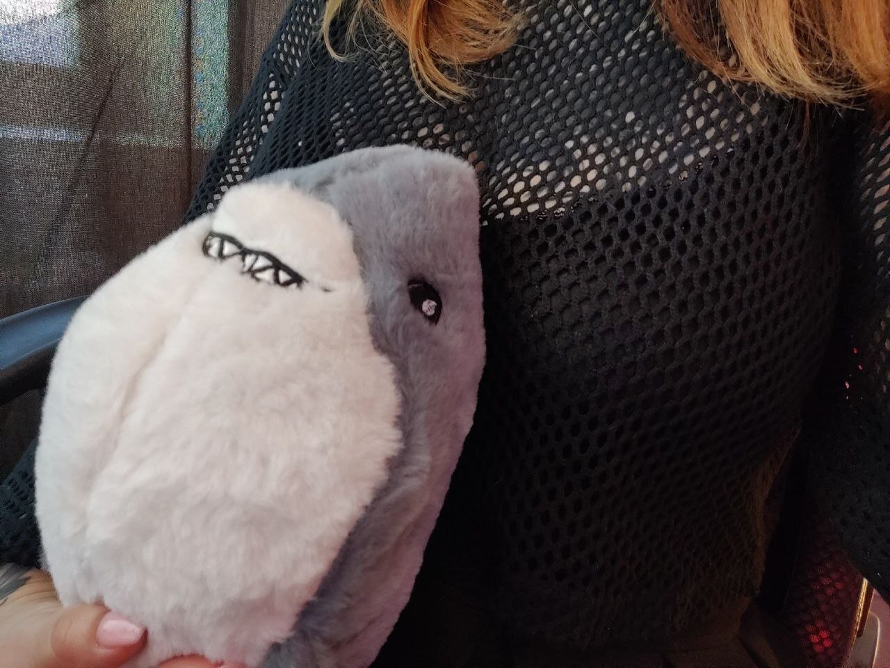 Ice_small_owl_