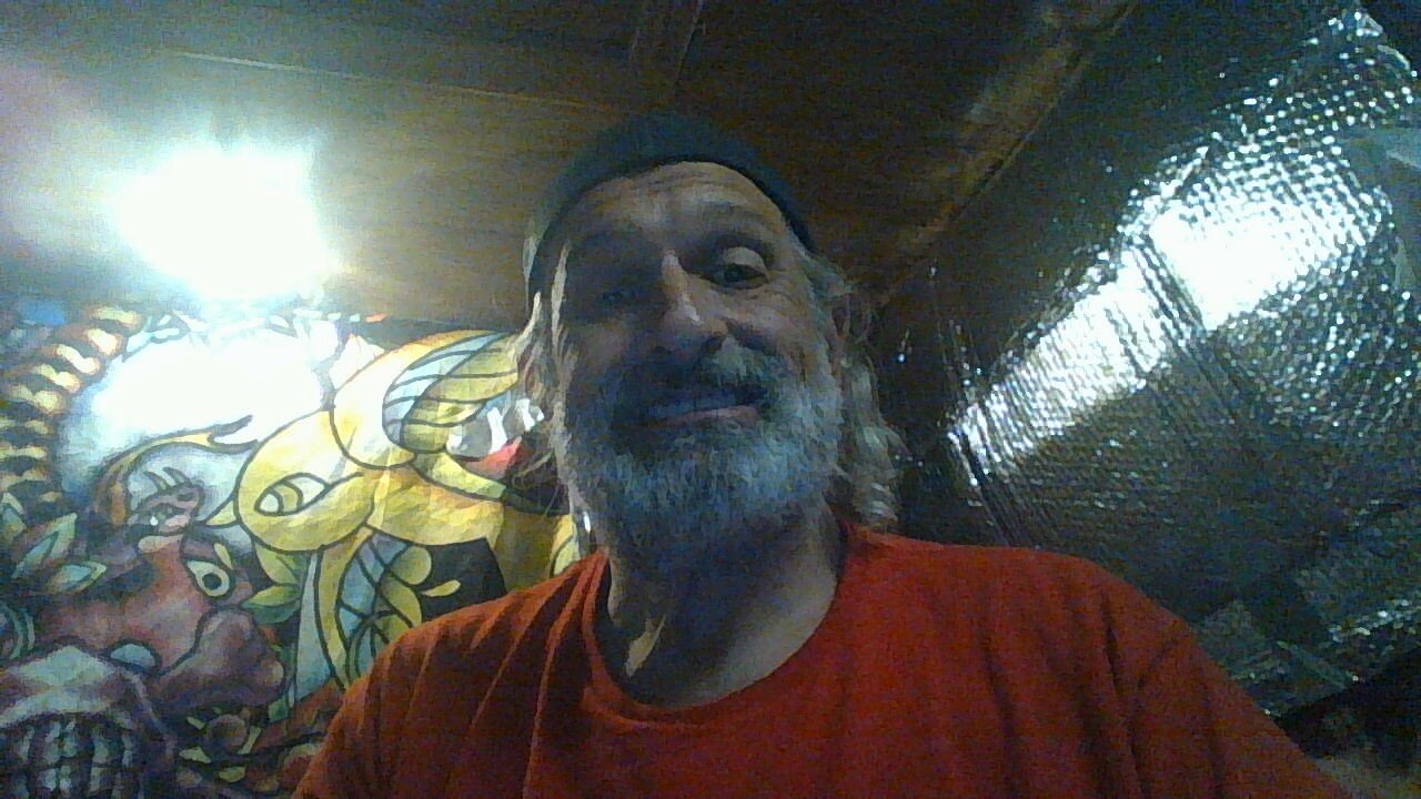 harley1414