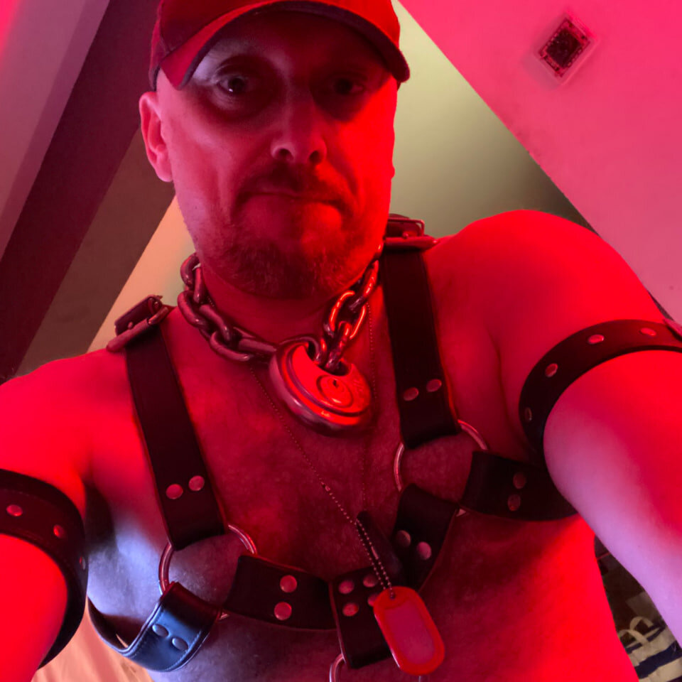 PigDadDog profile