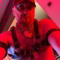 PigDadDog's webcam live show