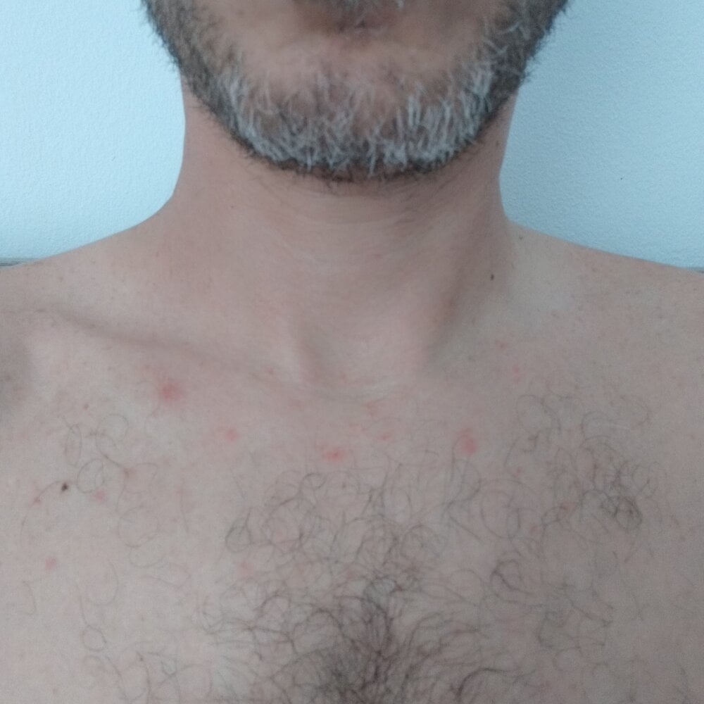 kostas19cm profile