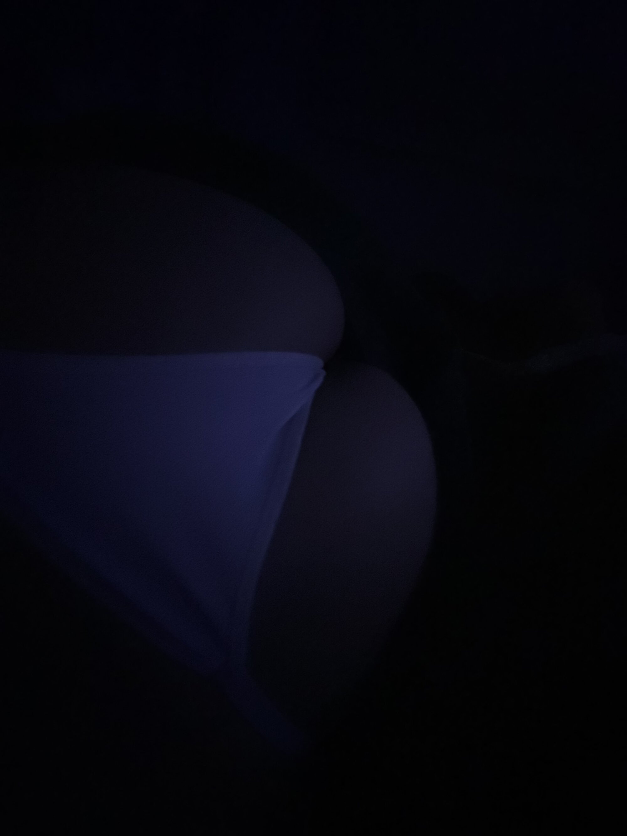 Avaritico1