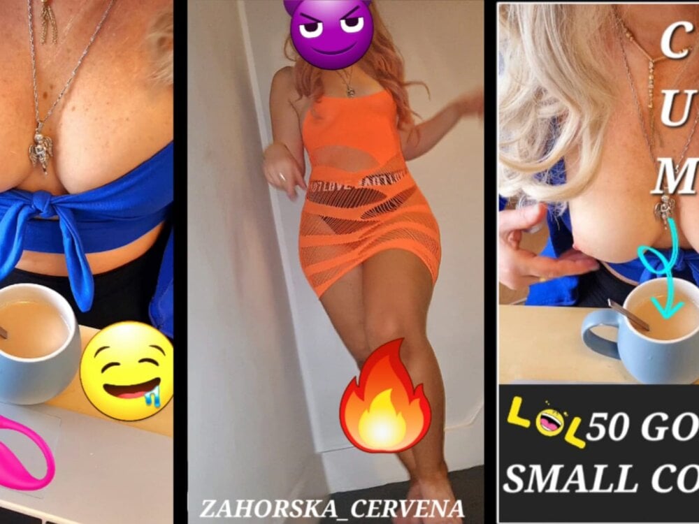 Zahorska__Cervena's Offline Chat Room