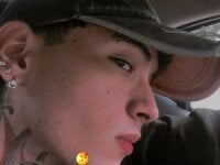 toomybear's webcam live show
