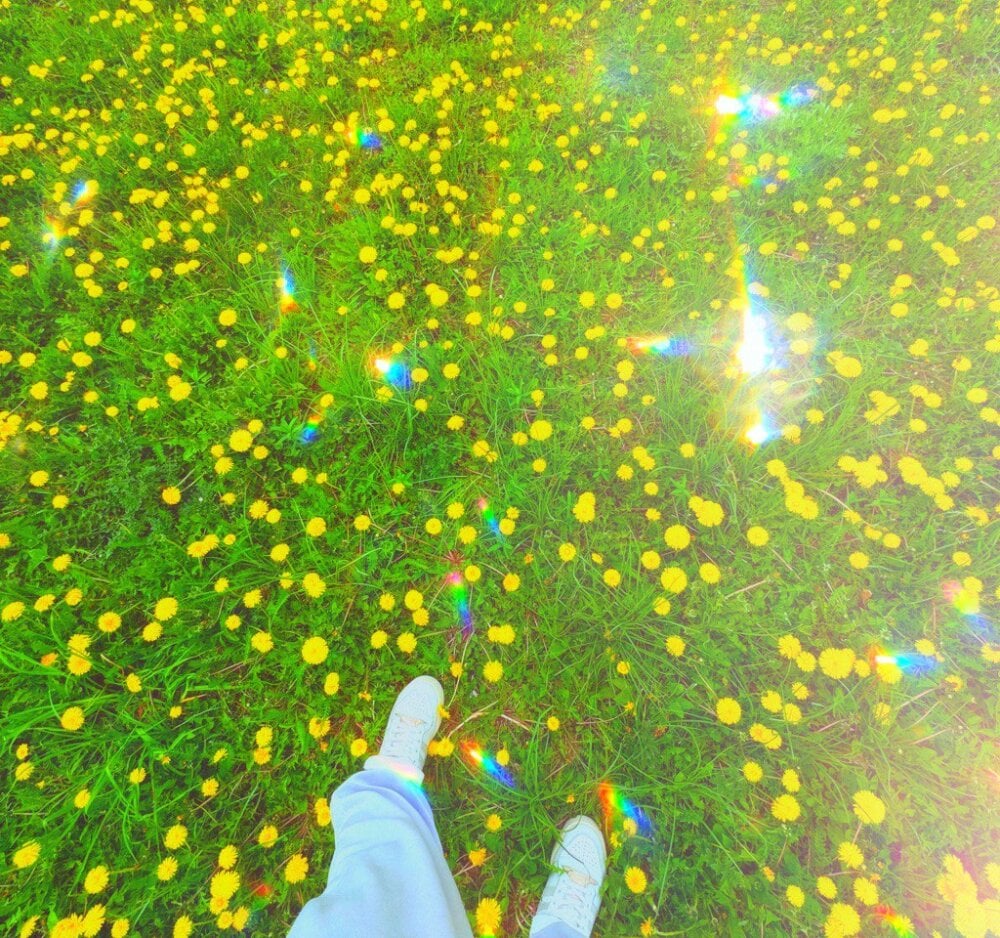 livesexasiancams.com aester01 livesex profile in probably next door cams