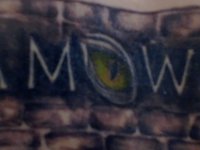 wowkiss Adlı Modelin Çevrimdışı Sohbet Odası