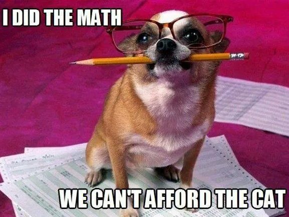 Ginger_Paradise Profile Image