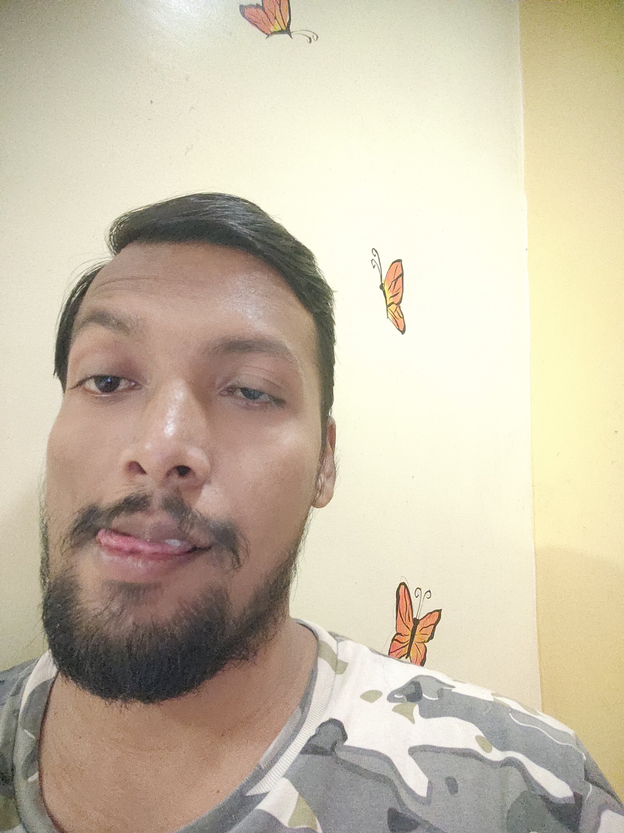 rabit_