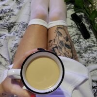 Offline chatovací místnost Baberousse