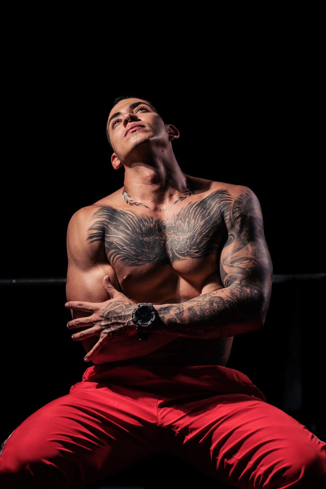 Brandonlavitt