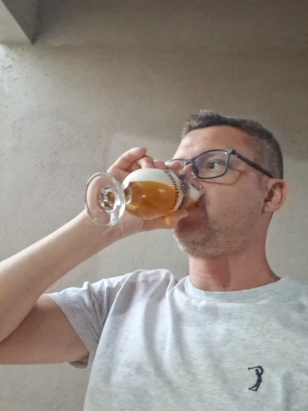 Ravanelli22