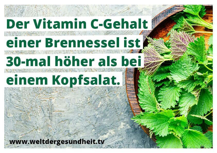 orgasmusrausch
