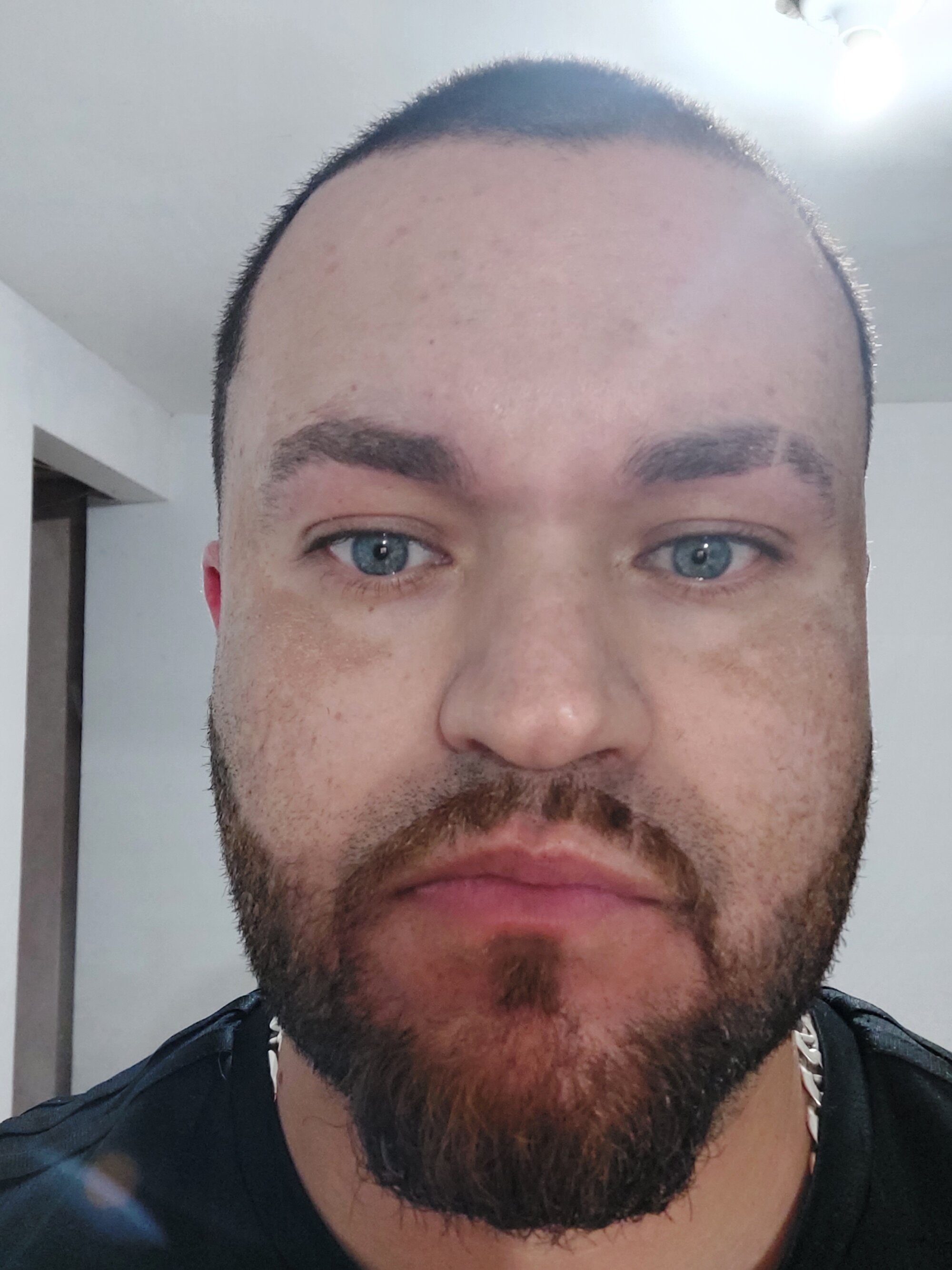comecudeputinha