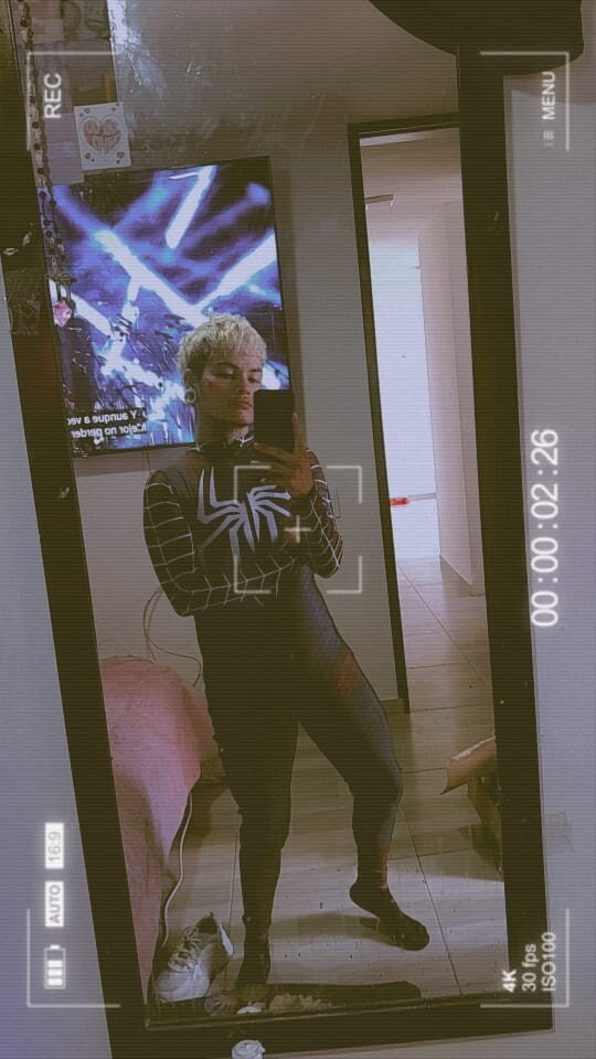 stve_wolfxx