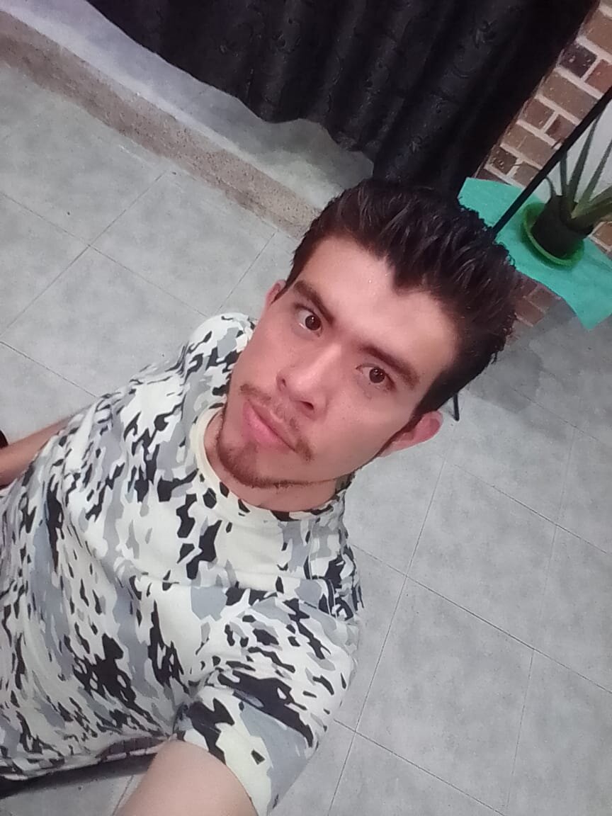 sexhairy_sebastian