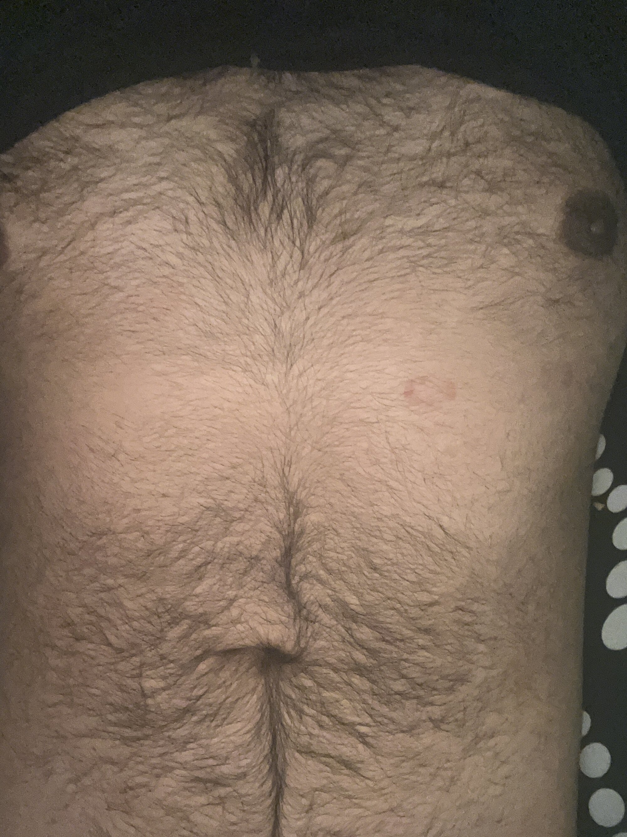 gsv2869