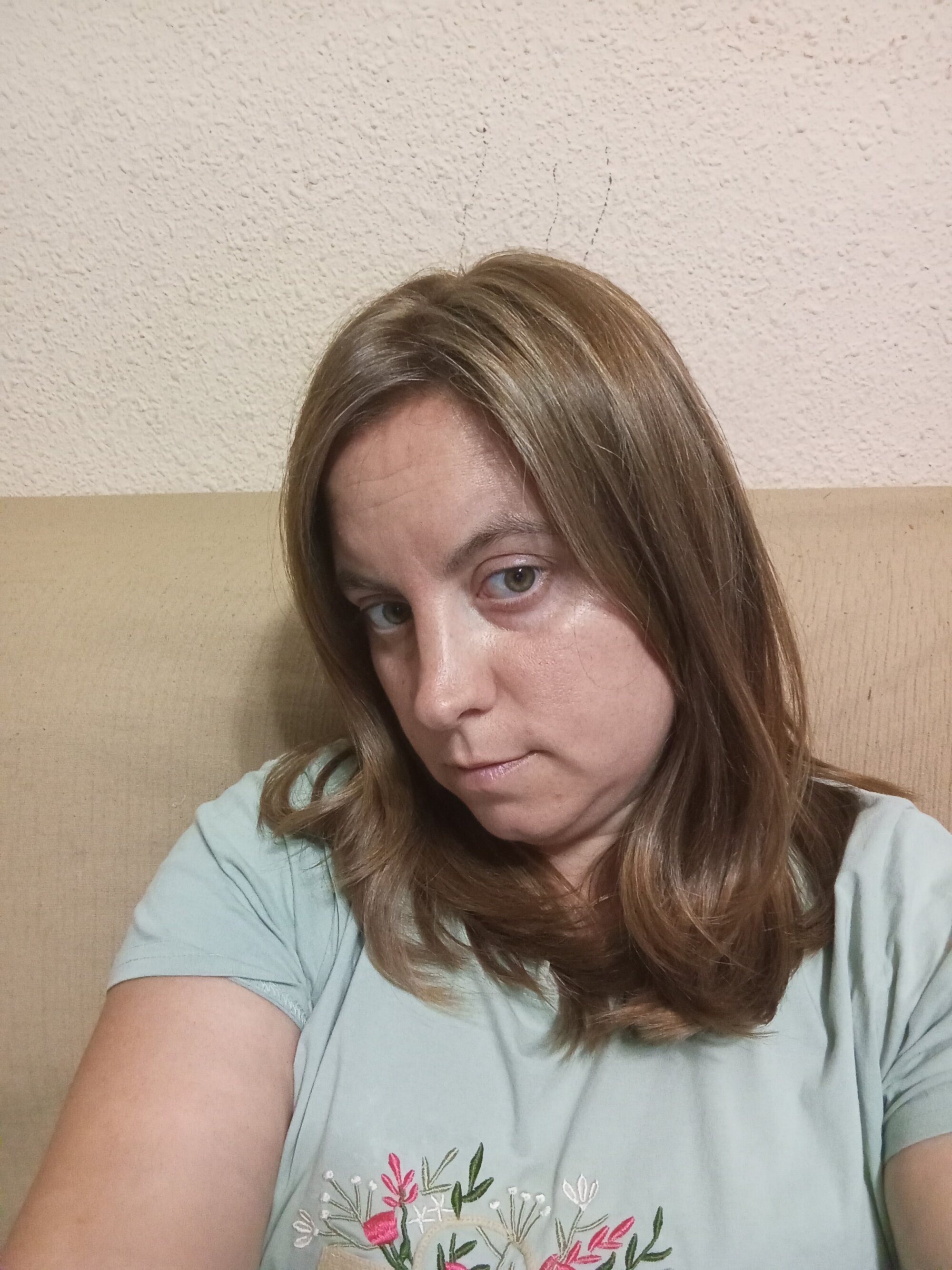 fresita38web