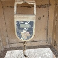 Big_Bsexy's webcam live show