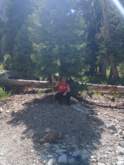 marksdickbigg Avatar