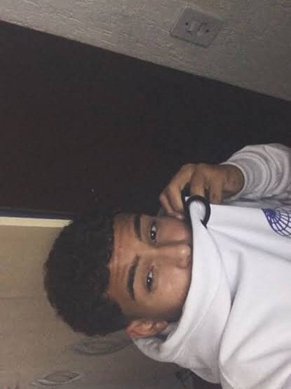 Igoraumeidaa profile