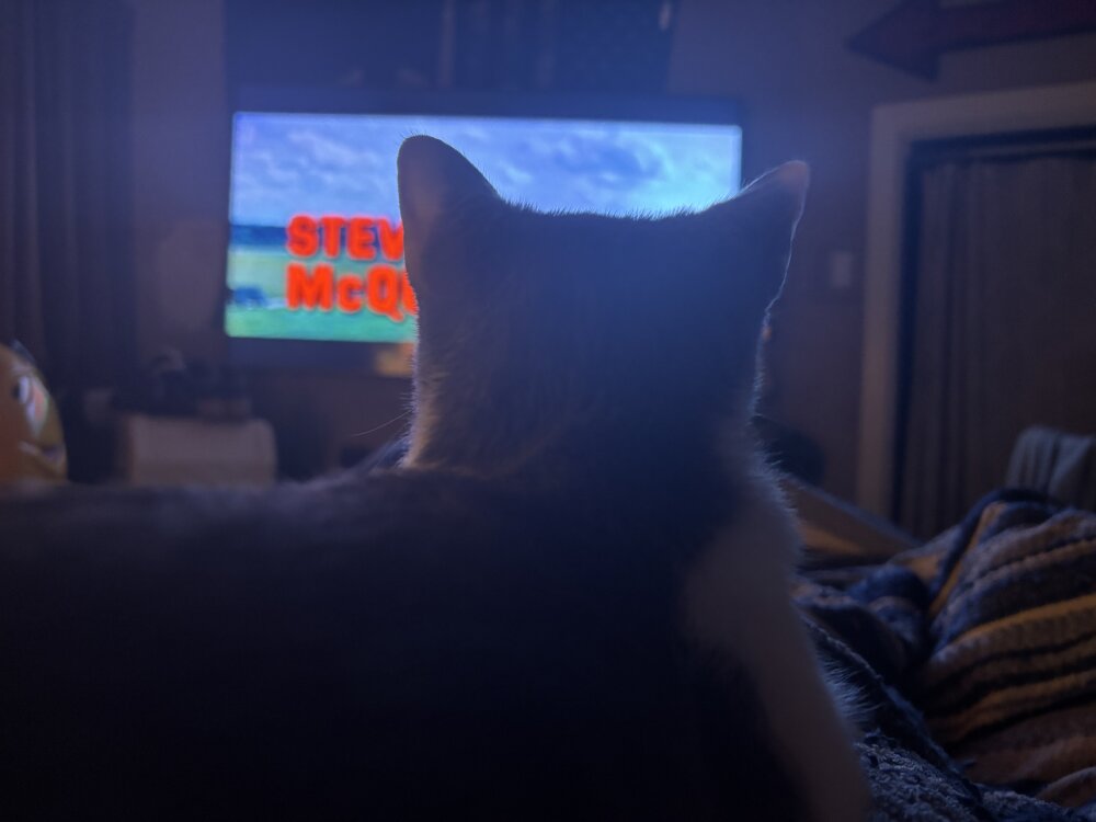 jgiun13579's most recent online preview