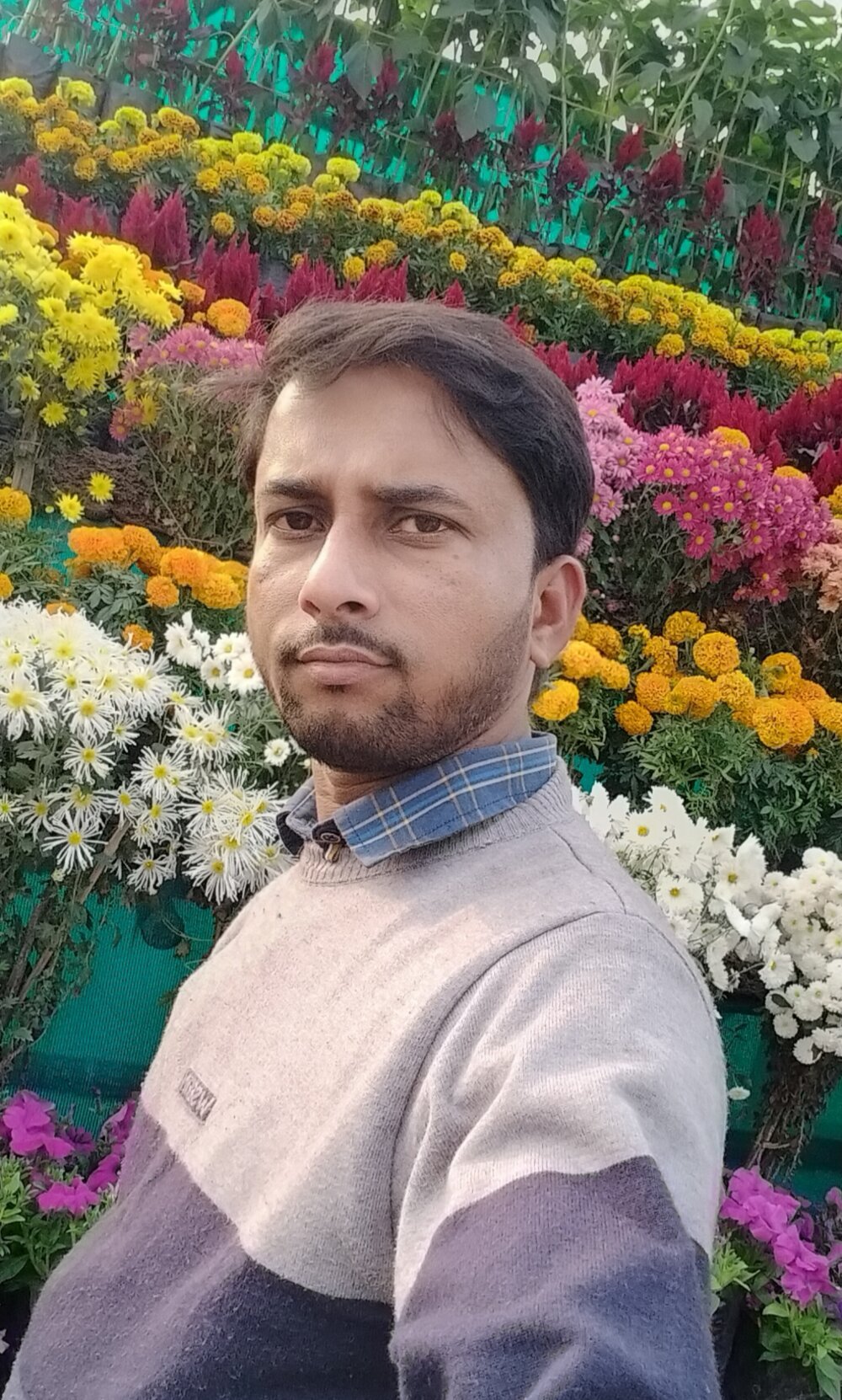 studio-my offline XXX-chat