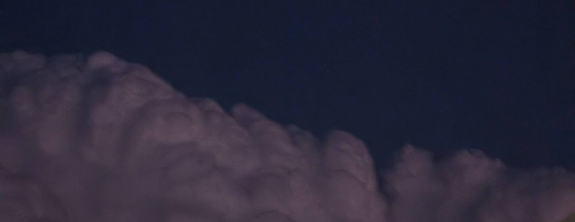 biblyblob