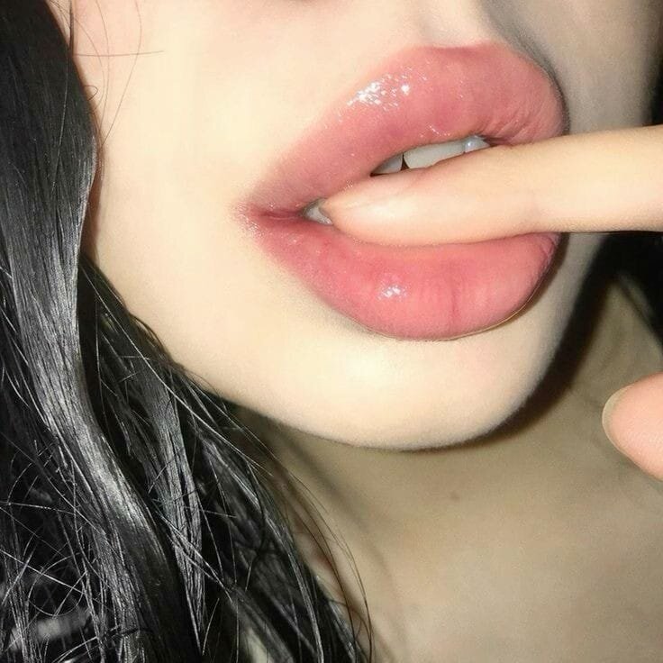 -Bolbol